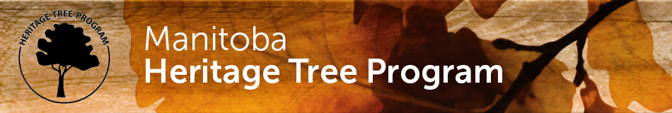 heritage trees program banner