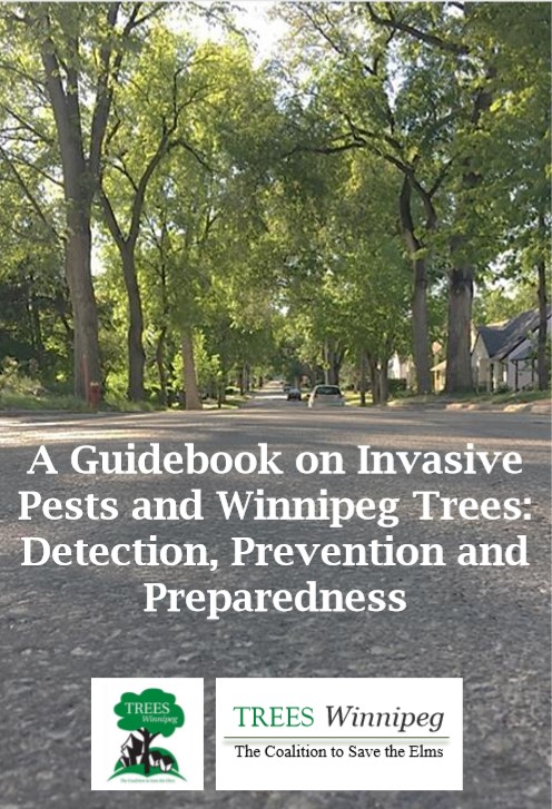 cover of Guidebook 